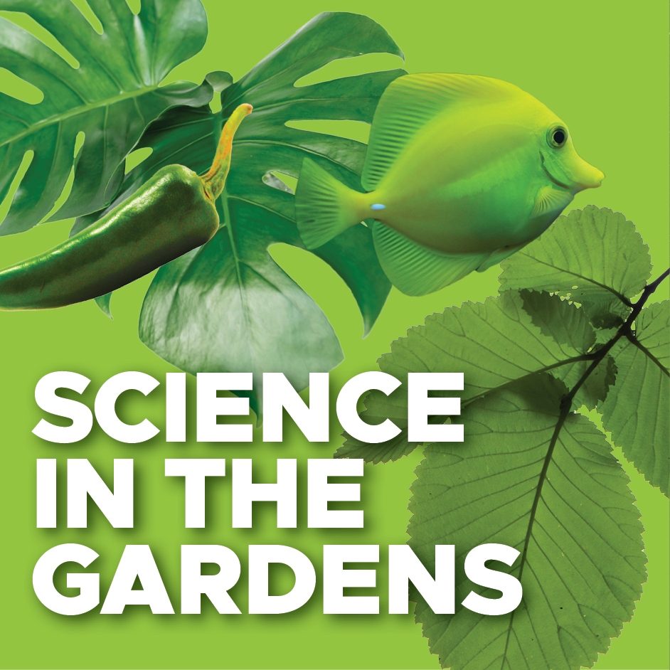 Science in the Gardens